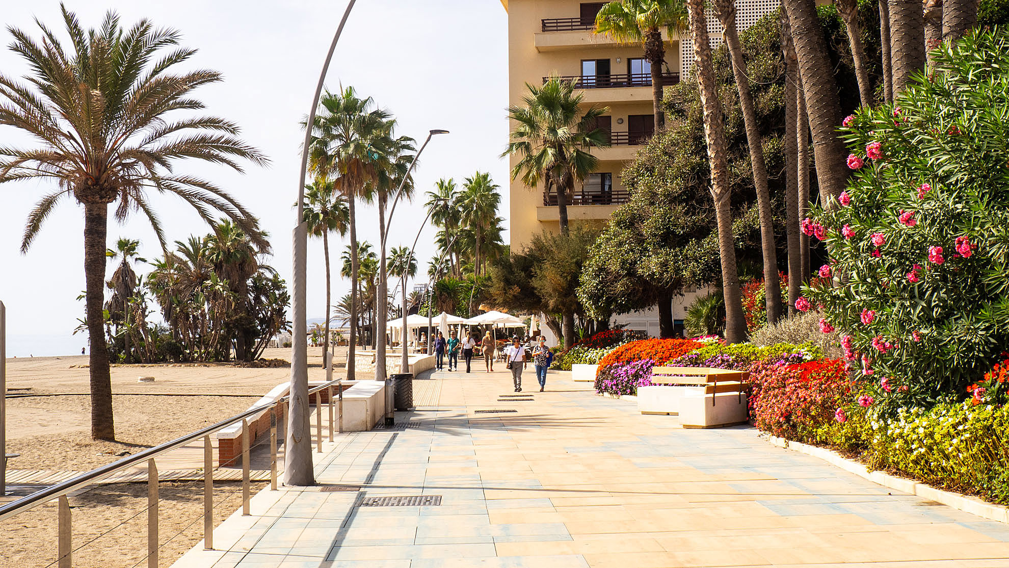 Sights in Estepona and the best tips for a visit